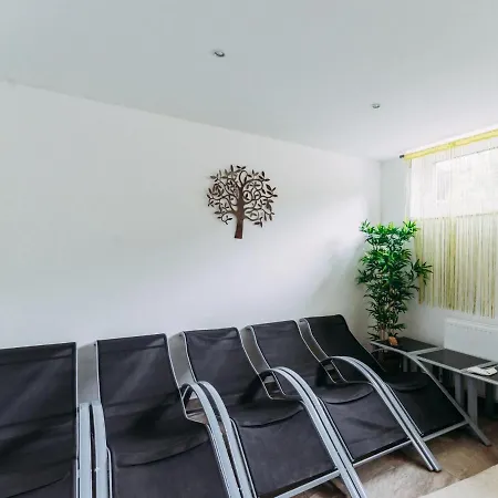 Apartment Haus Austria 5