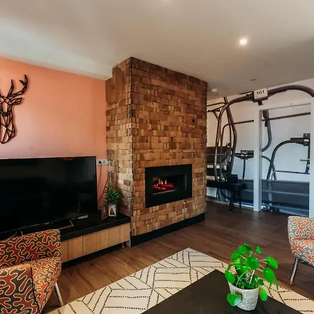 Haus Austria 5 * Finkenberg