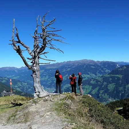 Appartamento Haus Austria 5 *